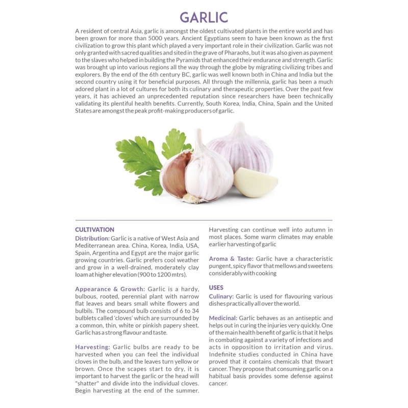 Mum's Premium Garlic Powder 150g