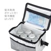 Asahi Kouyo Cooling Bag, Soft Cooler Bag, 1.3 gal (6