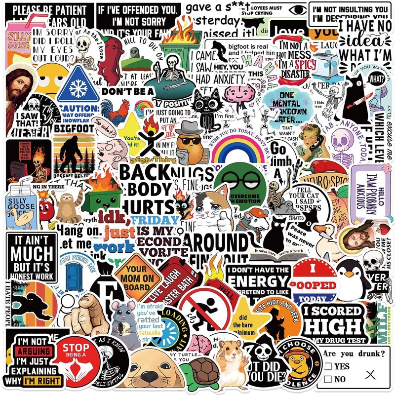 100pcs Funny Stickers for Adults, Prank Meme (Dirty) Hilarious Sticker
