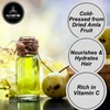 Naturevibe Botanicals Naturevibe Botanicals Amla Oil 32oz and Bhringraj Oil