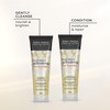 john frieda sheer blonde highlight activating shampoo,platinum to Champagne 8.3