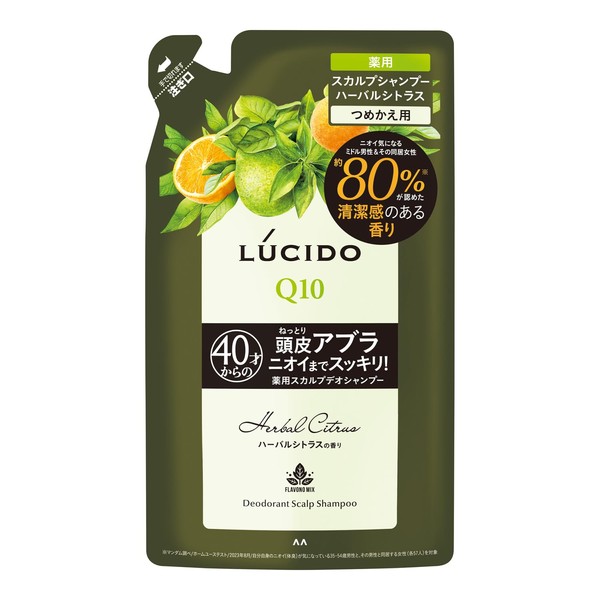 LUCIDO (Quasi-drug) Medicated Scalp De Shampoo Herbal Citrus Refill for Men