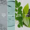 DERMALOGY by NEOGENLAB Pore Clarifying Clay Mask - Minimizes Enlarged