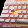 SteelSeries Apex 3 TKL White RGB Gaming Keyboard — Tenkeyless
