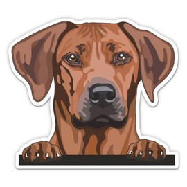 Rhodesian Ridgeback Sticker - 5" Laptop Sticker - Waterproof Vinyl for Car, Phone, Water Bottle - Rhodesian Ridgeback Dog Decal