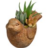 Classic Home and Garden Cement Buddies Indoor Outdoor Bird Planter,
