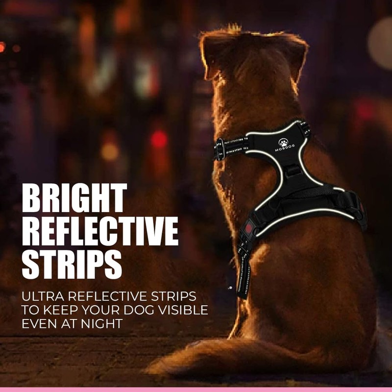 MobDog Puppy Harness and Lead Set – No Pull Dog