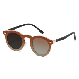 JOLLYNOVA Adjustable Tint Sunglasses Polarized Glasses Retro Circle Stepless Dimming Metal Shades for Men Women (Gold Frame Gradient Tea Lens)