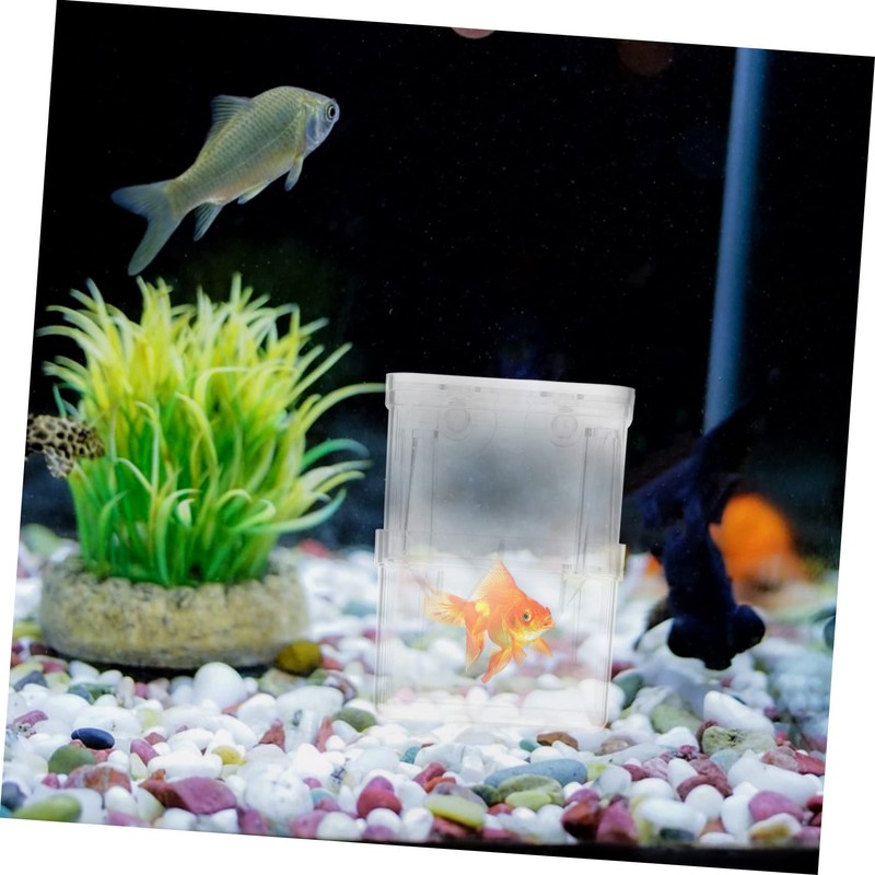 NOLITOY 4pcs Fish Breeding Box Small Aquarium Isolation Containers with
