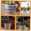 Outanaya 6pcs Breathable Plastic Orchid Pots with Drainage Portable Flower