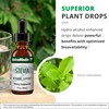 NutraMedix Stevia - Bioavailable Liquid Stevia Leaf Extract Drops for
