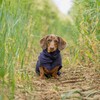 Ruff and Tumble Dog Drying Coat - Classic Collection |