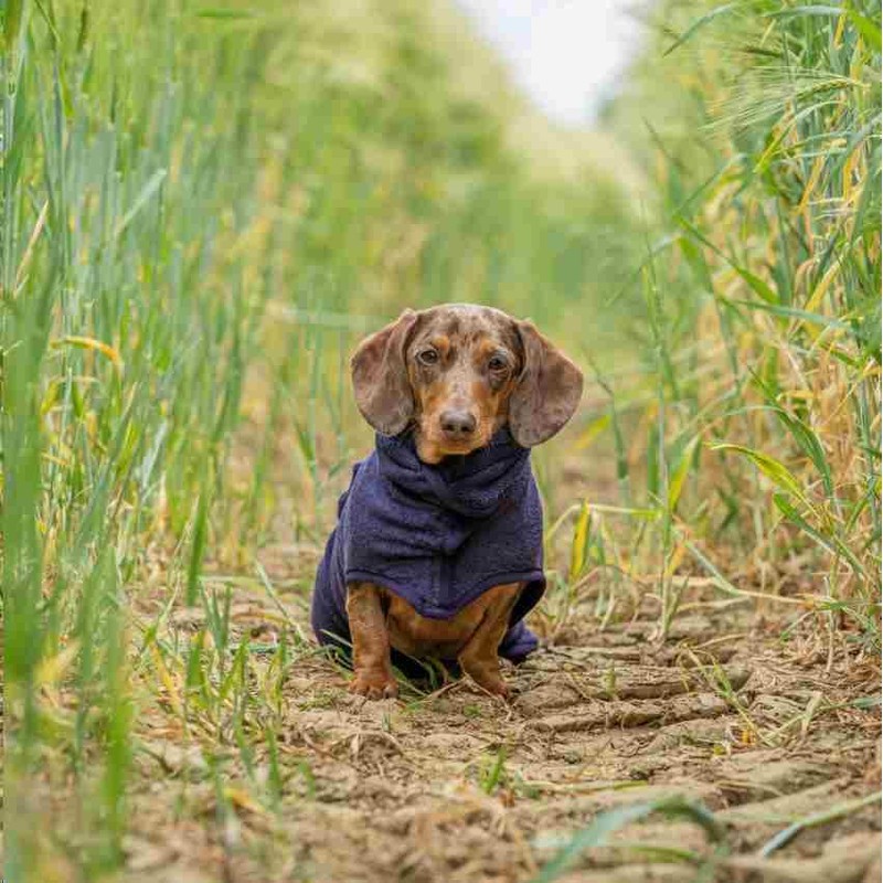Ruff and Tumble Dog Drying Coat - Classic Collection |