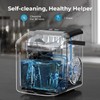 Countertop Ice Maker Machine, 8 Ice Cubes in 6 mins,