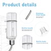 Pack of 3 Drinking Bottle Rabbit with Holder, 350 ml