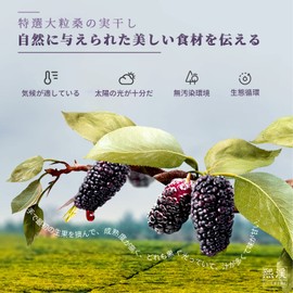 煕渓 桑の実 桑葚幹 280g（140g*2）桑葚 桑葚干 黒桑の実 干し黒桑の実 桑実幹 Black Mulberries Morus Fruitフルーツティー 花茶 マルベリー 果物茶 ノンカフェイン 養生茶 薬膳食材 自然栽培 無添加