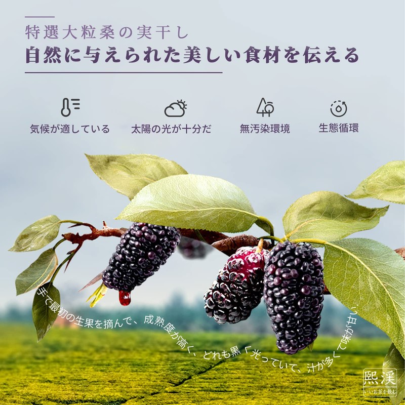 煕渓 桑の実 桑葚幹 280g（140g*2）桑葚 桑葚干 黒桑の実 干し黒桑の実 桑実幹 Black Mulberries
