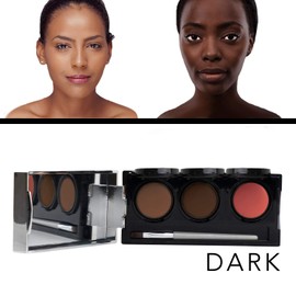 Dermaflage Tattoo Cover Up Makeup (Dark) - Bruise Full Coverage Concealer - Full Coverage Waterproof Concealer for Bruise, Scars & Acne - Smudge Proof Body Makeup Palette with 3 Pro SFX Shades + Brush