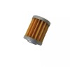 Val6 DS-T-06 Fuel Filter Element For Daystar, MPX Heaters Genuine