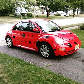 Black Spots Dots 50 Set Decals Stickers 6 Year no Fade Ladybug Costume for Car Any VW Volkswagen Beetle Bug Mini PT
