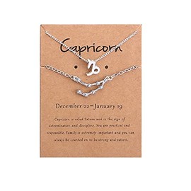 2Pcs 12 Constellation Zodiac Sign Layered Choker Necklaces Letter Astrology Horoscope with Message Card for Women Jewelry-Silver Capricorn