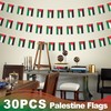 Palestine String Flag Pennant Banner, Small Mini Palestinian Flags Bunting