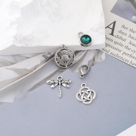 CHOORO 5PCS TV Show Inspired Jewelry Scottish Thistle Dragonfly Charm Pendant for Jewelry Making DIY Charm (Scottish charms-CA)