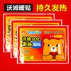 Winter Body Warmer Stick, 20 Pack Lasting Keep Hand Feet