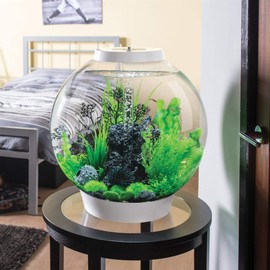 biOrb 48362 Mineral Stone Ornament, Black