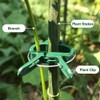 Plant Clips Plant Clips for Trellis Tomatoes, Roses, Cucumbers and