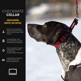 EzyDog Checkmate Martingale-Style Premium Nylon Safety Training and Correction Dog Collar - Quick-Clip Buckle and Reflective Stitching - Easy Control with no Choking Effect (Medium, Red)