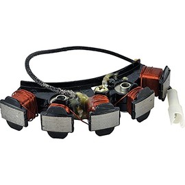 DB Electrical 340-22020 Stator Compatible with/Replacement for Briggs & Stratton Various 391052, 394173, 394250, 491469, 494254