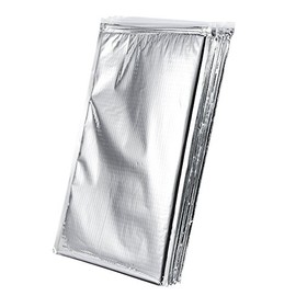 Dilwe Aluminium Foil Packaging Bag, Insulated Food Bag, Zip Lock Resealable Sandwich Bag for Camping Picnic (25 x 30 cm)