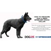HS Herm. SPRENGER Germany Black Stainless Steel Prong Dog Training