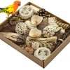 LOPERDEVE Natural Bird Toy Foraging Parrot Shredding Toys Box Conure