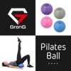 GronG Pilates Ball Anti-Burst with Inflatable Straw, Purple