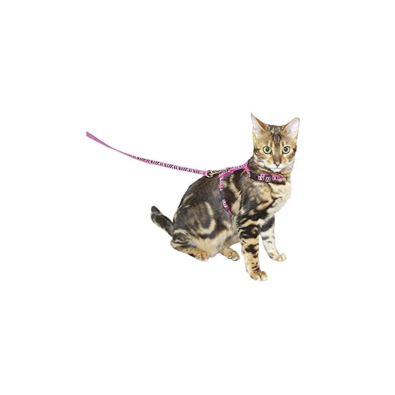 Kerbl Cat Harness with Leash, 120 cm x 10 mm,