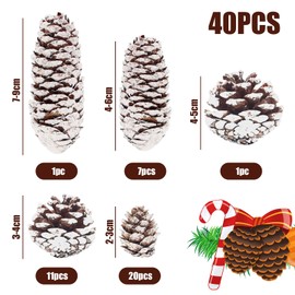 VGOODALL 40PCS Snow Pinecones Decorations, Natural Pine Cones for Crafts Christmas Pine Cone Ornaments for Xmas Tree Wreath Winter Holiday Hanging Ornaments