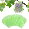 Pack of 100 Fruit Protective Bags, Grape Protective Bags, Fruit