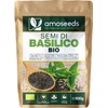 Semi di Basilico Bio 500G | Sazietà, Rinfrescanti, Ricchi di