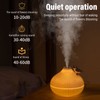 Mist Humidifier Small Onion Shape USB Lighting Quiet Small Air