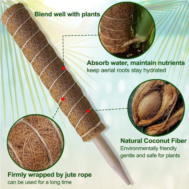 Fabulas Moss Pole 47.5 Inch - Monstera Plant Support, 4