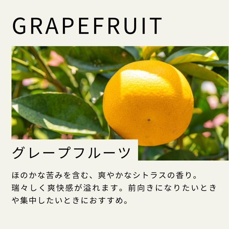 Tree of Life Grapefruit Essential Oil 100ml AEAJ Certified Certified