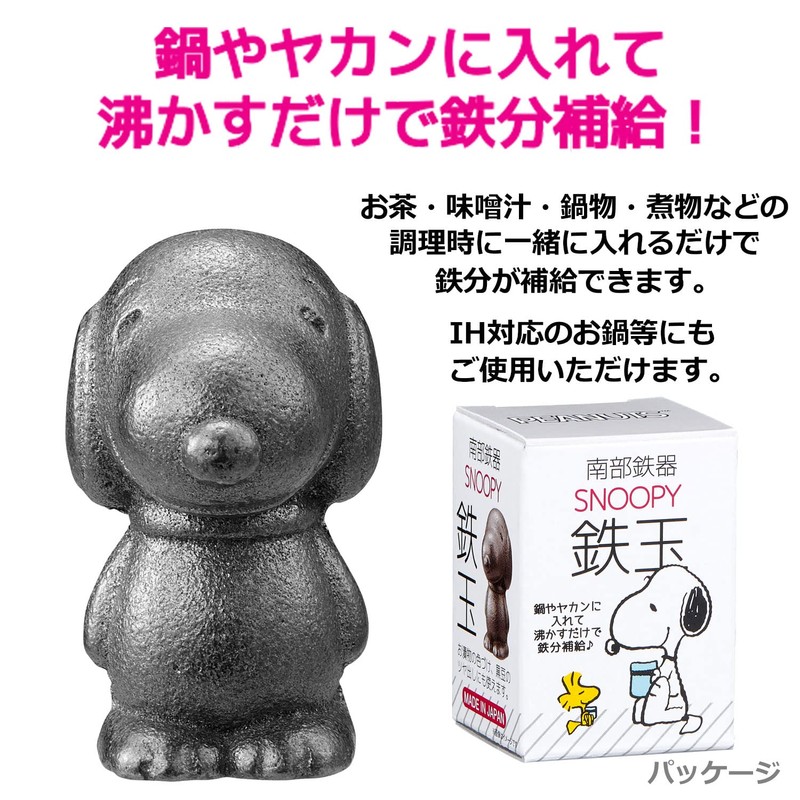 OSK TBN-1 Nambu Ironware Snoopy, Iron Supplement, Just Boil in
