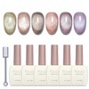 Fiouto Magnetic Nails, Gel Nails, Color Gel, Cat Eye Gel,