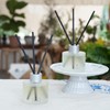 Brakula 2 Packs Reed Diffusers Set- Home Fragrance, Lemon Verbena