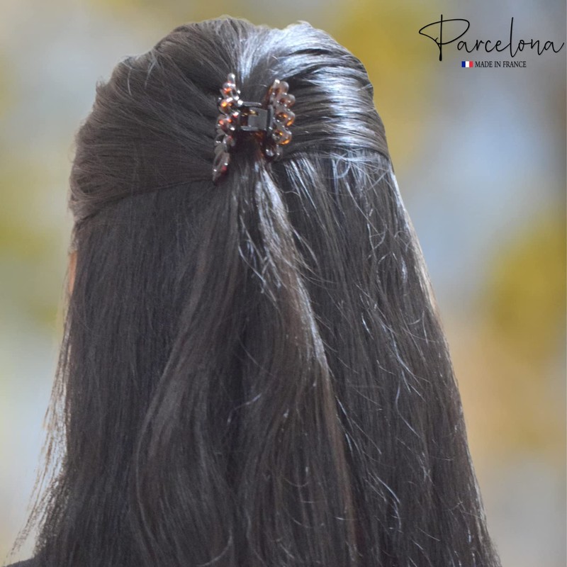 Parcelona French PLUME - Pinza para el pelo (tamaño pequeño,