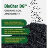 The Andersons BioChar DG Organic Soil Amendment - Covers up