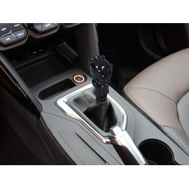 Bashineng Skull Shifter Knob Stick Shift Handle Gear Shifting Lever Transmissions Fit Most Manual Automatic Cars Truck SUV (Black)
