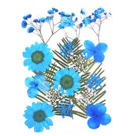 Transparent Dried Flower Bookmarks Homemade Beautiful Flower Bookmarks DIY Dried Flower Bookmark Flower Page Clips Bookmarks